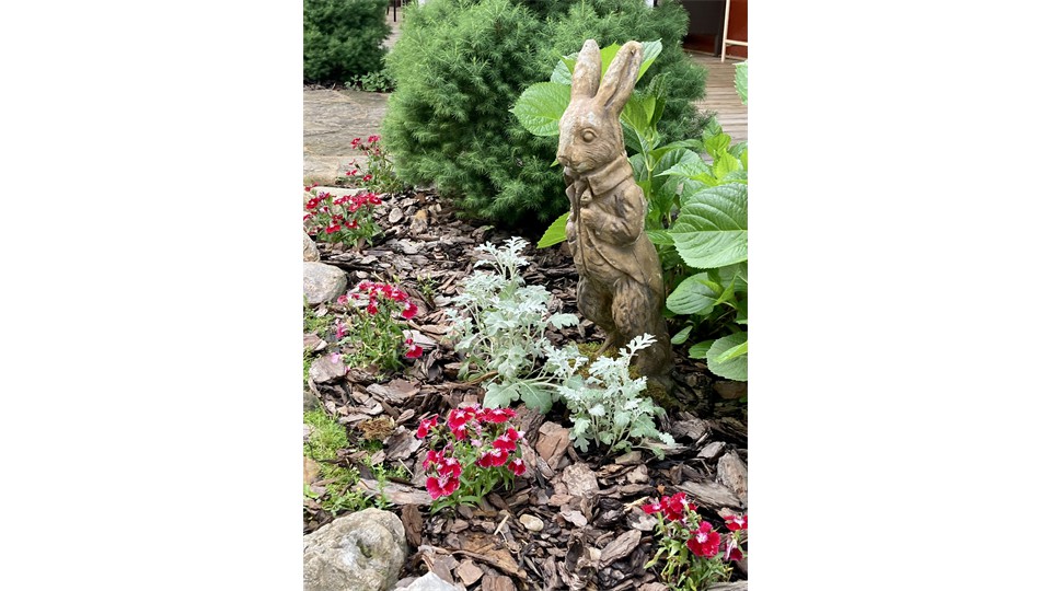 Peter Rabbit Garden Statue
